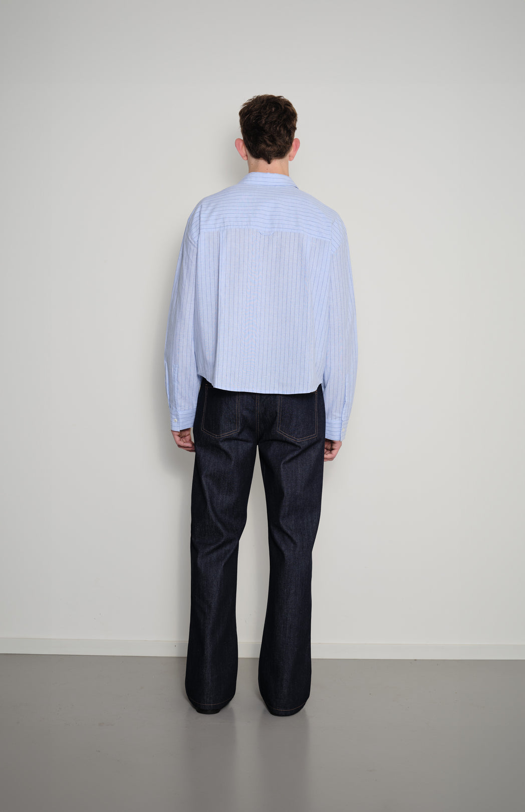 Blue pinstripe cropped shirt